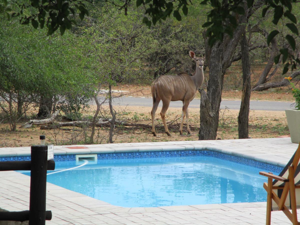 هويدزبروت Woodpecker Lodge B&B المظهر الخارجي الصورة